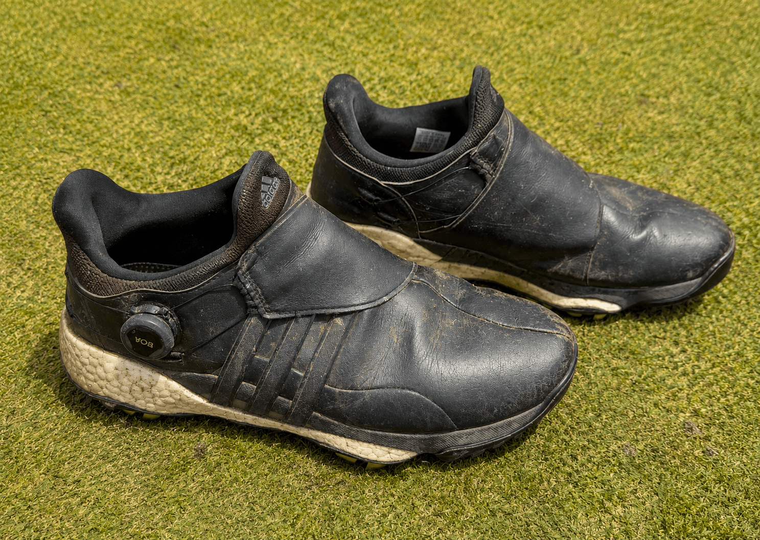 Adidas BOA, leather golf shoes, before Fairway Fresh care